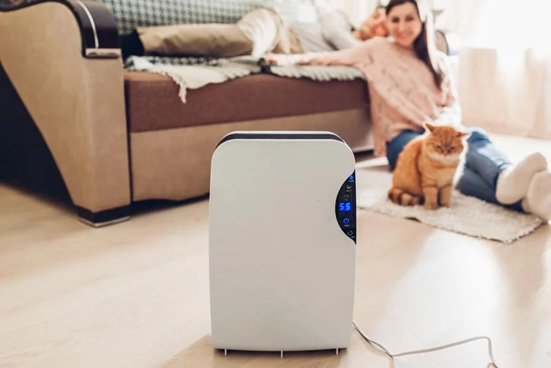 The-Benefits-of-Having-a-Dehumidifier