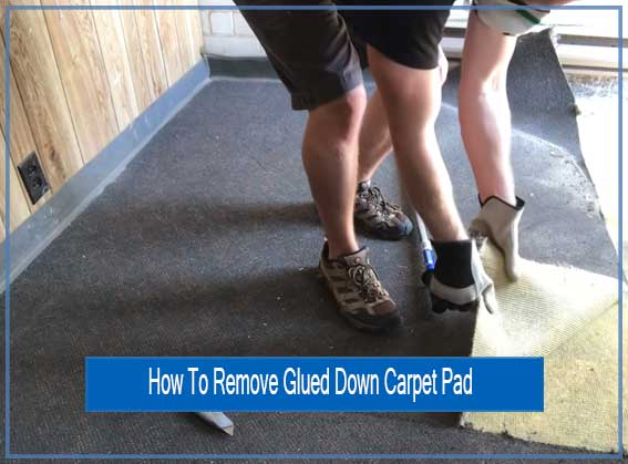 how-to-remove-glued-down-carpet-pad-from-concrete