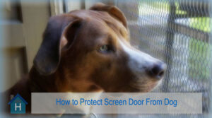 Help! How To Protect Screen Door From My Dog?